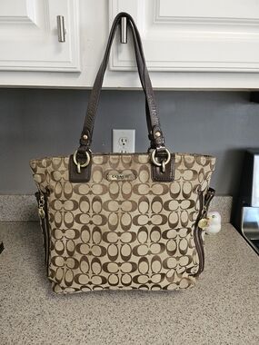 Coach Signature Canvas Tote Bag in Brown